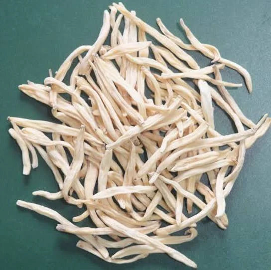 🌿 Safed Musli: Ayurveda’s Secret for Strength & Stamina
