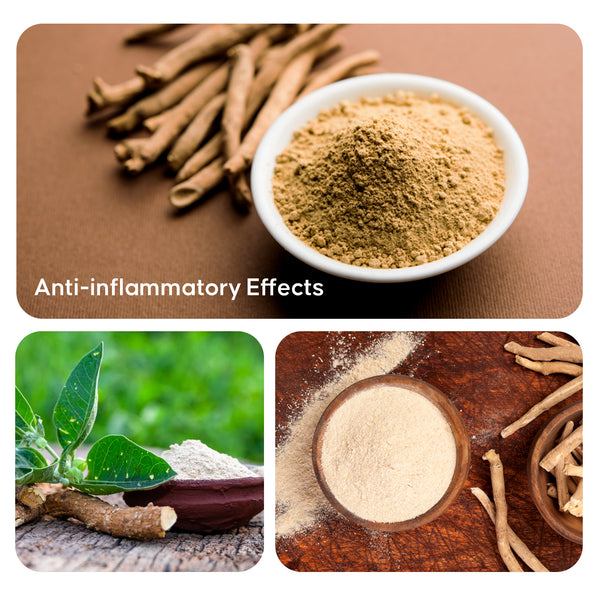 Ashwagandha Root Powder - Natural Stress Reliever - CuroHerb