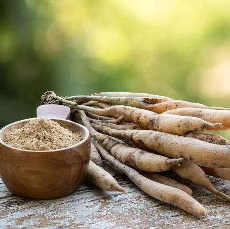 Shatavari and Women’s Wellness: Balancing Hormones Naturally