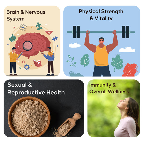 Curoherb Combo - Aswagandha, Safed Musli, Black Kaunch, Yellow Shatavari (Powder)