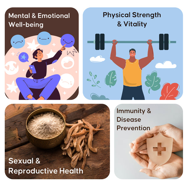 Curoherb Combo - Aswagandha, Safed Musli, Black Kaunch, Yellow Shatavari (Powder)