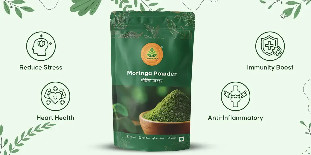 Moringa Powder Superfood