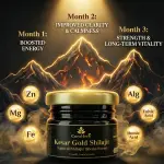 Kesar Gold Shilajit (Resin Form)  Natural Energy & Vitality Boost  CuroHerb